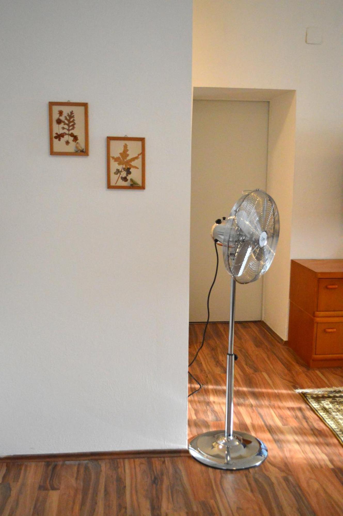 Gemuetliche Ferienwohnung - Prein An Der Rax Exterior foto